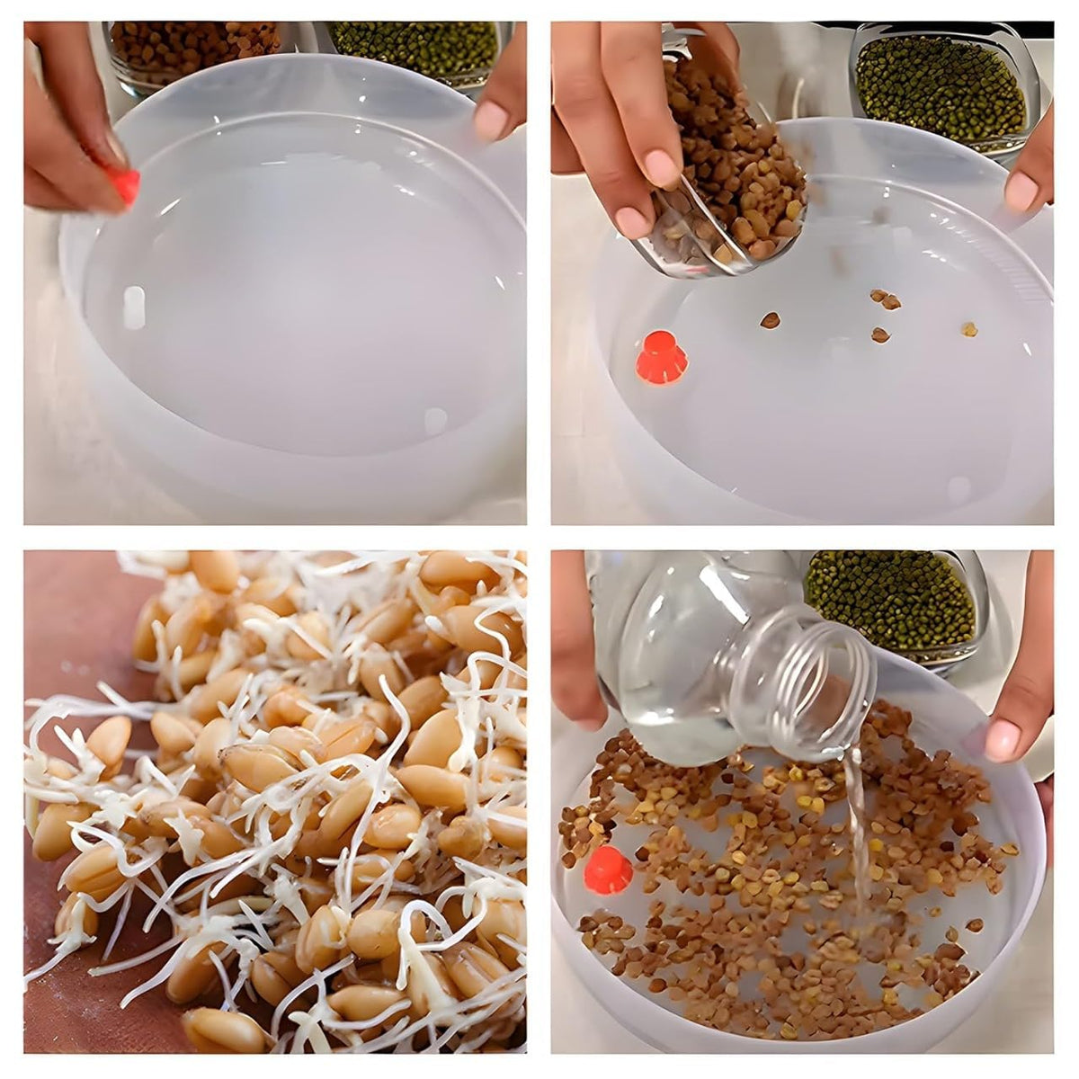 Plastic Sprout Maker Box Grocery 4 Layer Container