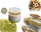 Plastic Sprout Maker Box Grocery 4 Layer Container